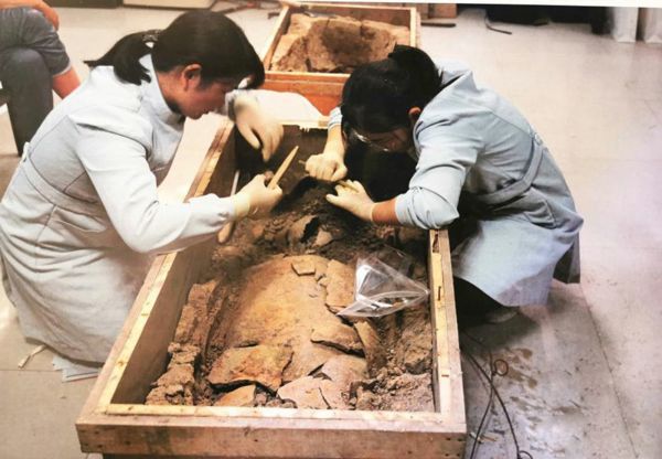 河南荥阳汪沟遗址发现目前中国最早丝绸