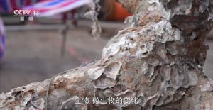 古船长江口二号“归港”，海洋木质文物该如何保护？