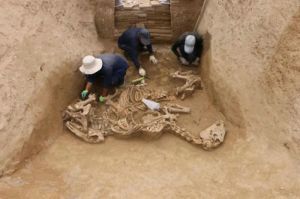 甘肃：武威吐谷浑王族墓葬群多项国内考古之最吸引人们的目光