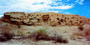新疆：达勒特古城考古清理遗迹550余处，出土器物2700余件