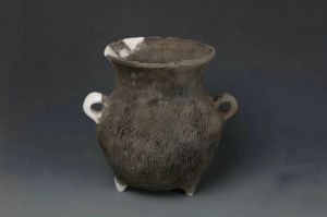 山西：山西发现321座东周时期墓地 出土陶器体现中原与北方文化交融