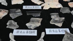浙江余姚发现早于河姆渡文化1000年的史前遗址