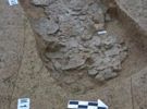 湖南孙家岗遗址考古发现独特葬式“垫器葬”