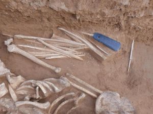 陕西：首次发现仰韶晚期数量丰富的笄形骨器