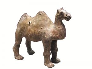 刘勇先：古陶器中的动物形象
