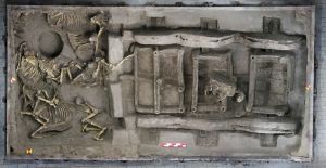 河南：2600多年前戎人王级大墓陪葬车马坑全貌显现