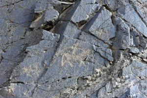 甘肃：肃北发现逾5000幅千年岩画 反映射猎游牧生活